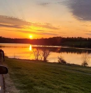 Meet your Posher, Annette